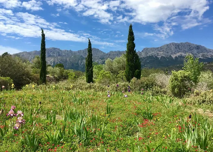 Apartamento Vistamar 2